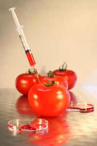 Close-up of syringe in tomato