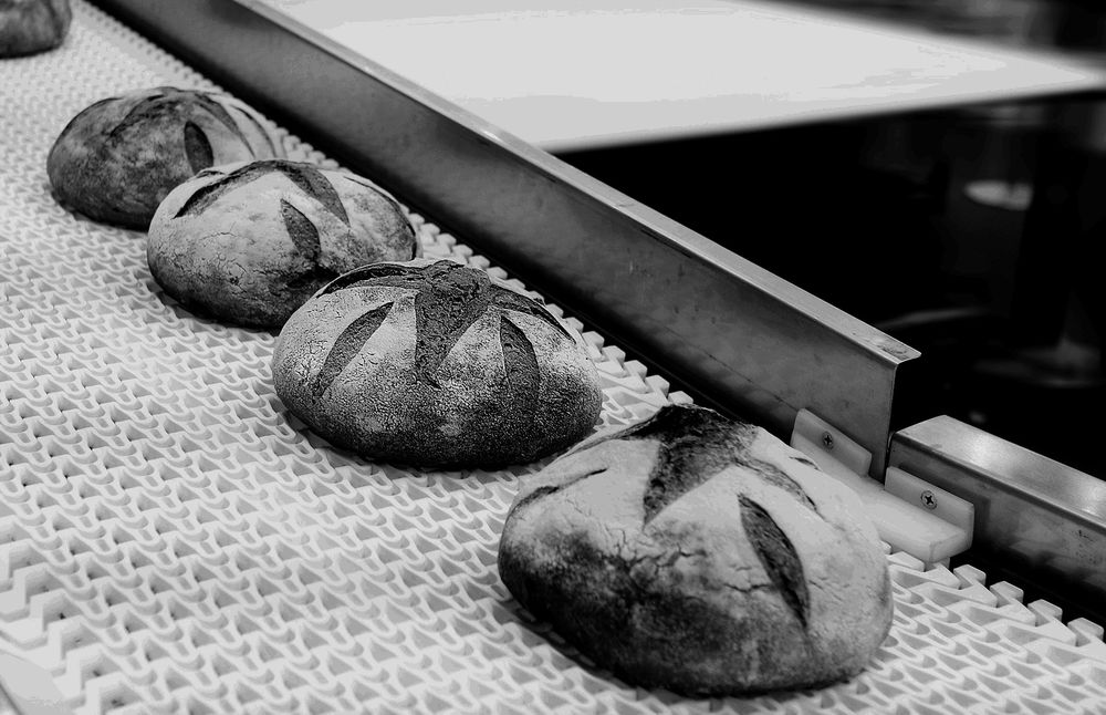 Baked breads on production line at bakery