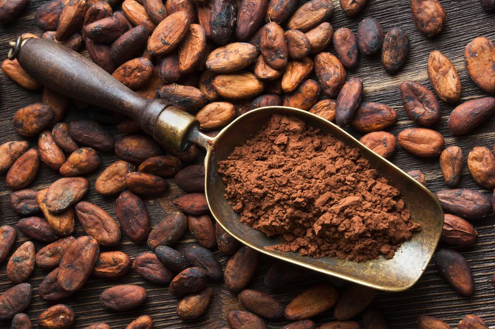 cocoa beans and retro scoop with cocoa powder