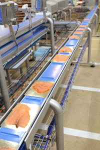 interroll-mototamburo-nel-food-processing-fish
